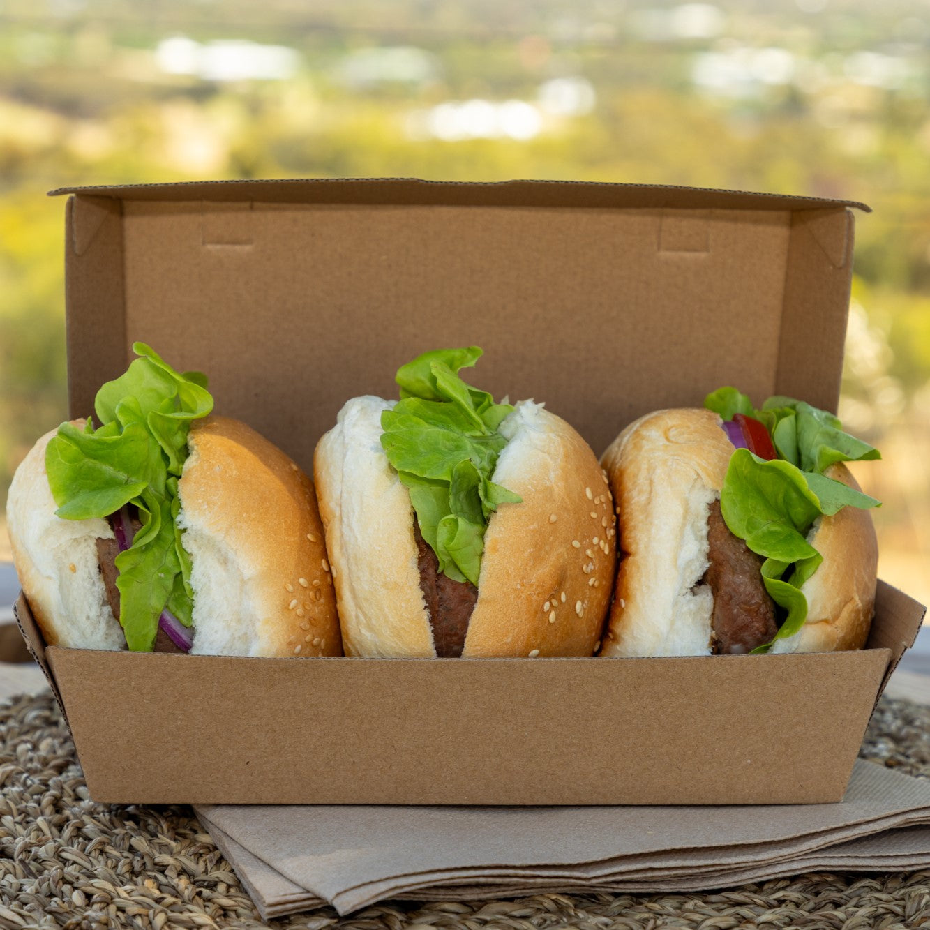 Snack and Dinner Boxes
