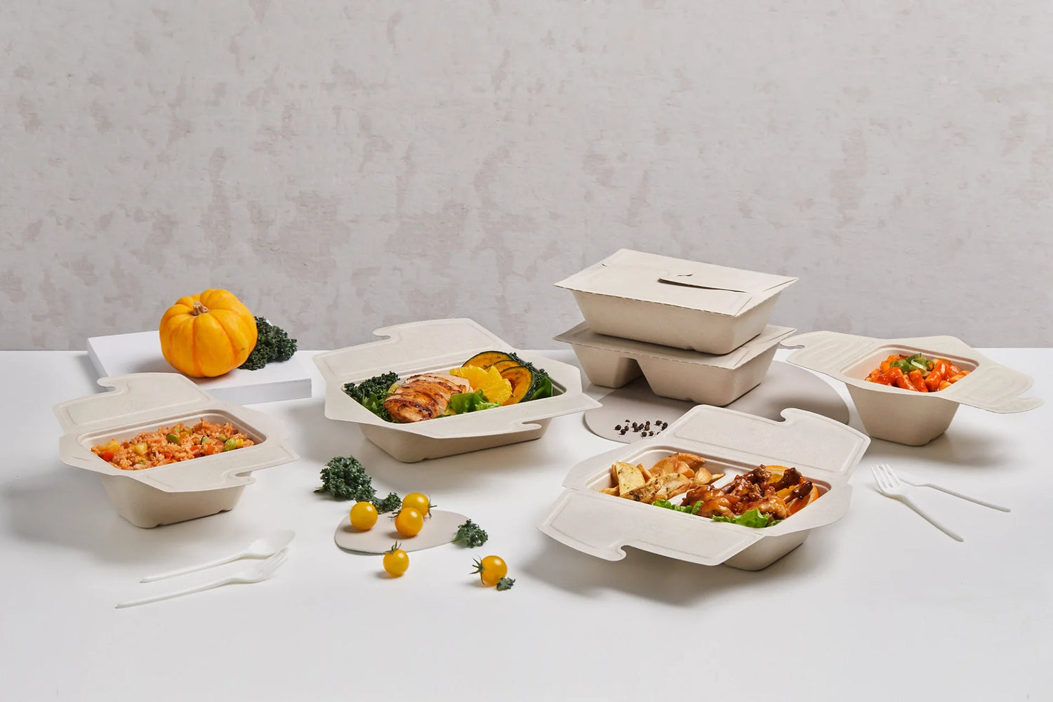Pulp Folding Bowls