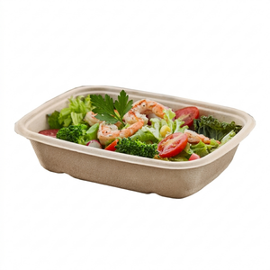 Sabert Pulp Rectangle Tray 800ml - 300/ctn