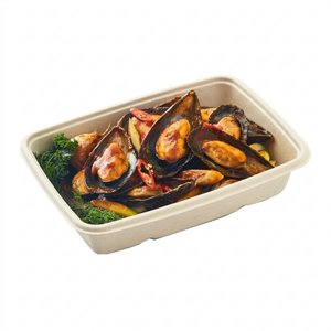 Sabert 6x9" 30oz (850ml) Pulp Rectangle Tray