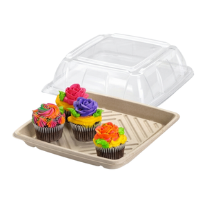 10.7in Square Pulp Platter - 50/ctn