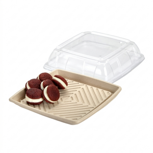 Sabert Square Pulp Platter 12"