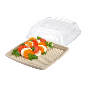 Sabert Square Pulp Platter 14"