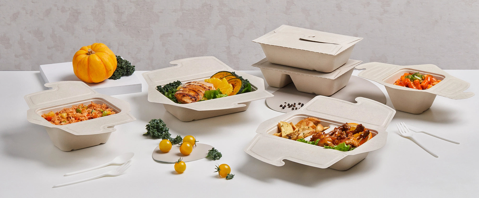 Pulp Folding Bowls