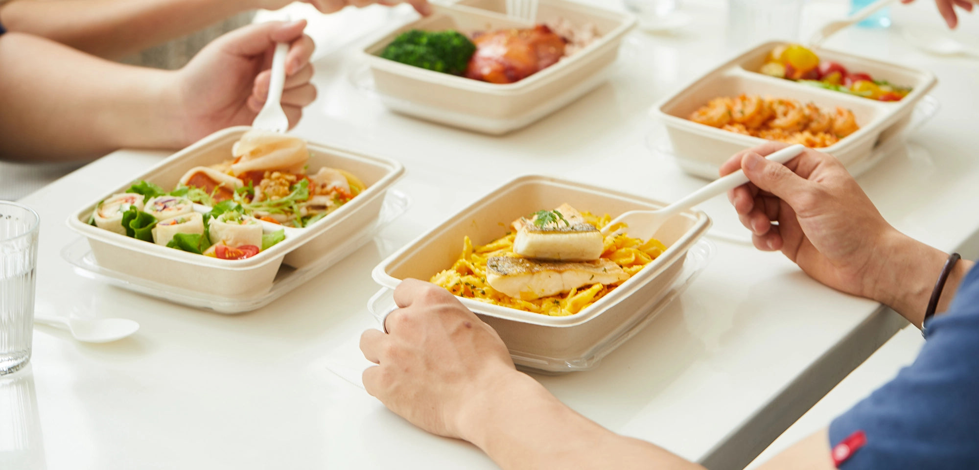 Pulp Trays & Lids