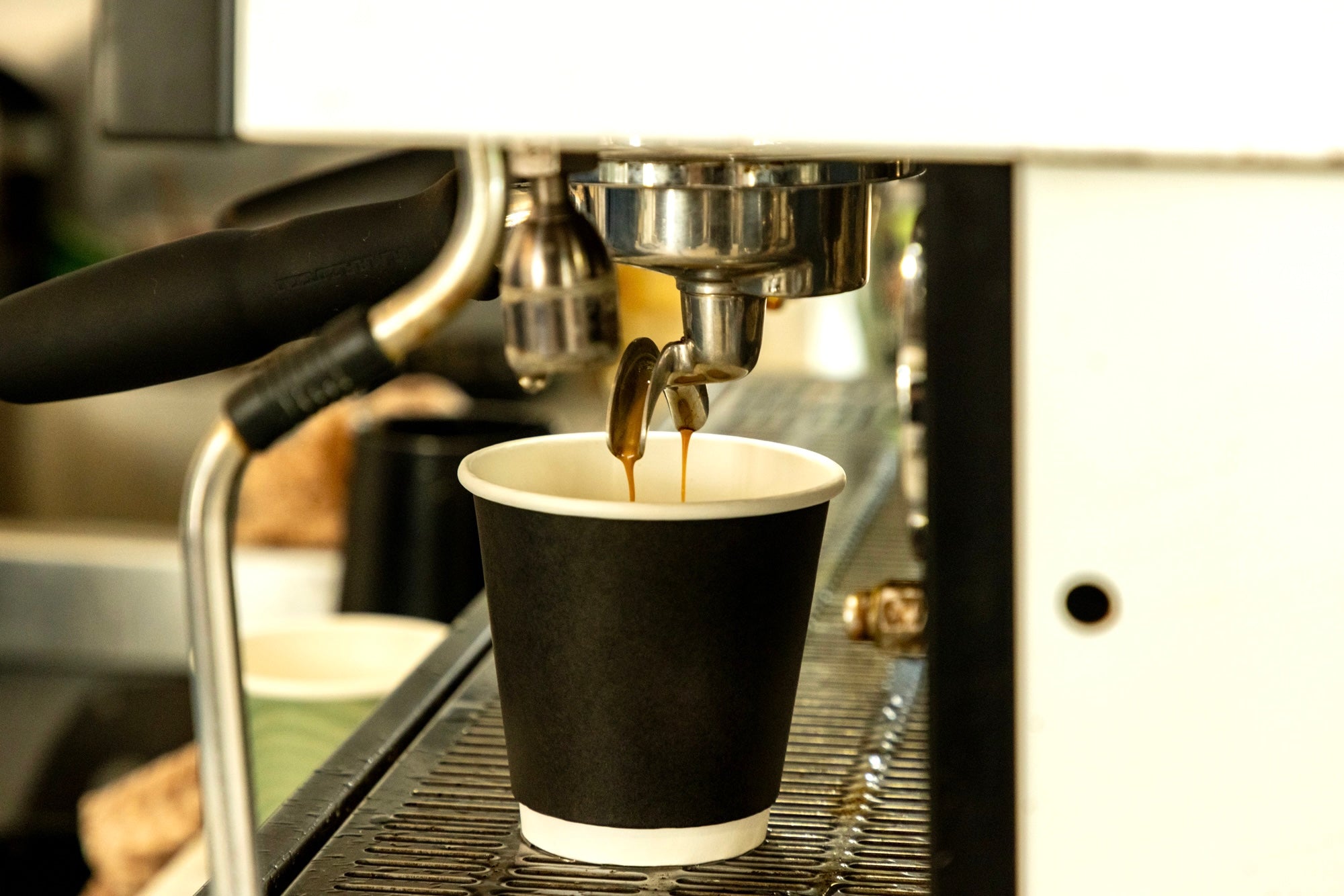 Double Wall Coffee Cups